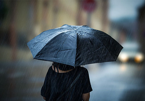 傘業界での小規模な流行：昨年の登録数は 139% 増加