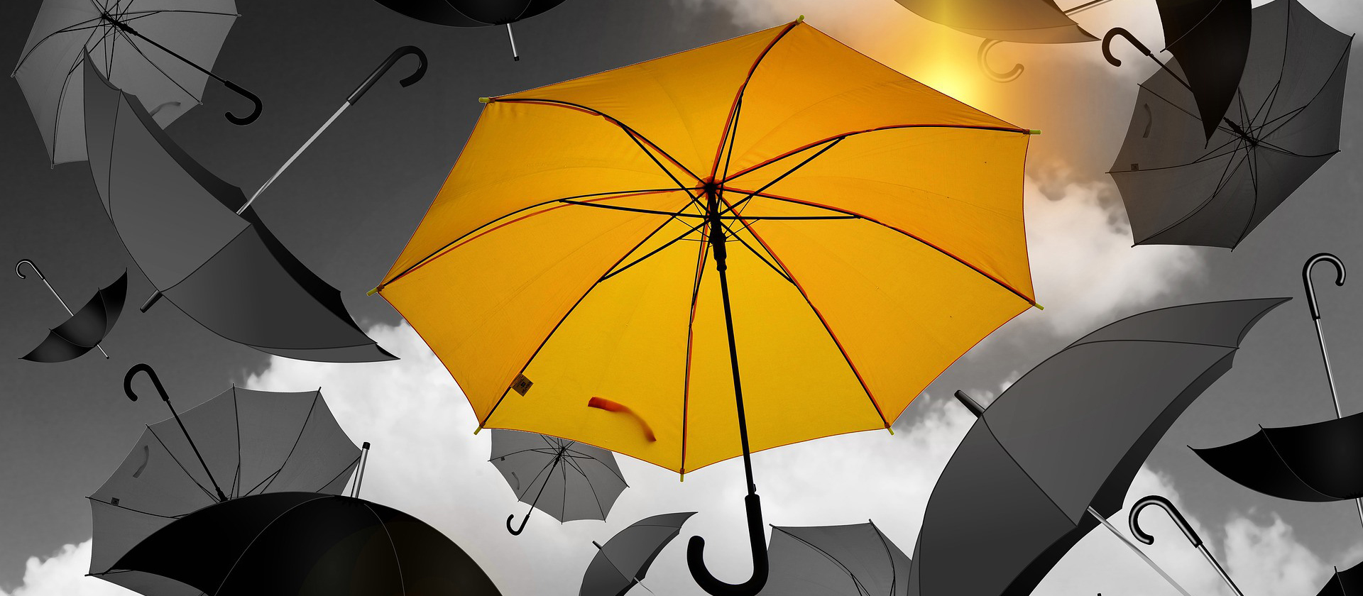 傘のステップには主に4つの素材があります